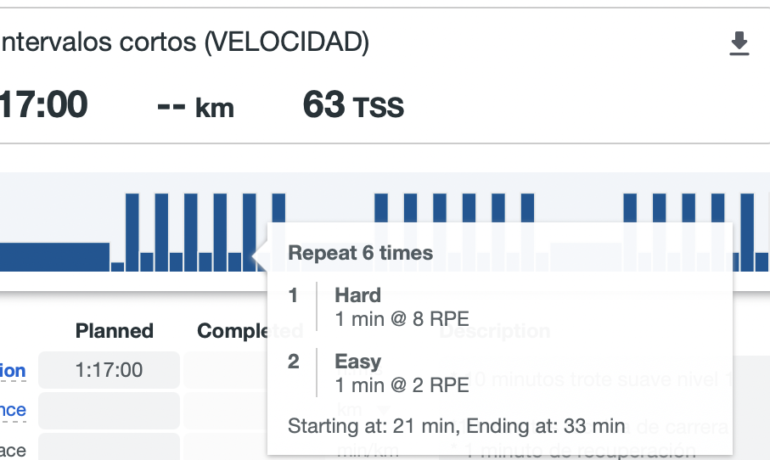 ¿Los Entrenamientos de Velocidad son también de técnica?